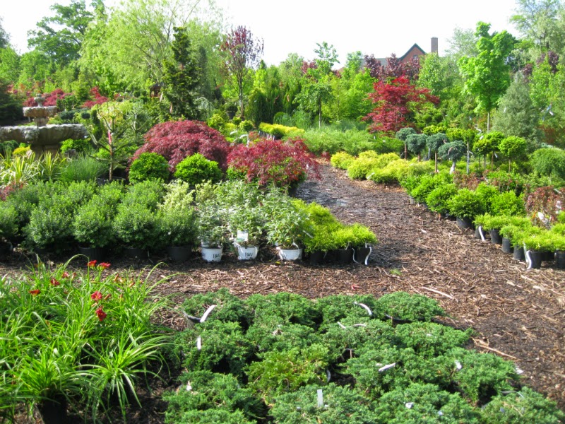 Photo of Wiesner Brothers Nursery Inc in Staten Island City, New York, United States - 6 Picture of Food, Point of interest, Establishment, General contractor