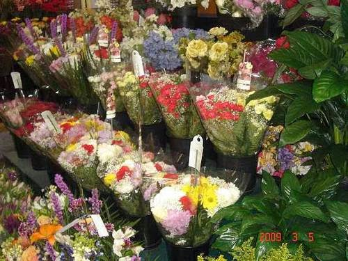 Photo of Danas Flower Shop in Forest Hills City, New York, United States - 2 Picture of Point of interest, Establishment, Store, Home goods store, Florist