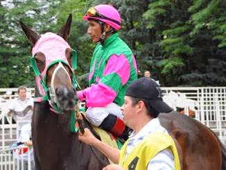 Photo of Gary P Gullo Racing Stable in Elmont City, New York, United States - 4 Picture of Food, Point of interest, Establishment