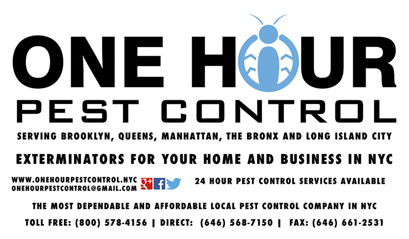 Photo of One Hour Pest Control in Kings County City, New York, United States - 1 Picture of Point of interest, Establishment, Store, Home goods store