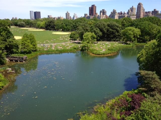 Photo of Central Park Pedicab Tours in New York City, New York, United States - 1 Picture of Point of interest, Establishment, Parking