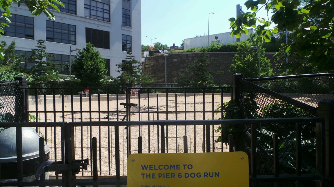 Photo of Pier 6 Dog Run in Brooklyn City, New York, United States - 1 Picture of Point of interest, Establishment, Park