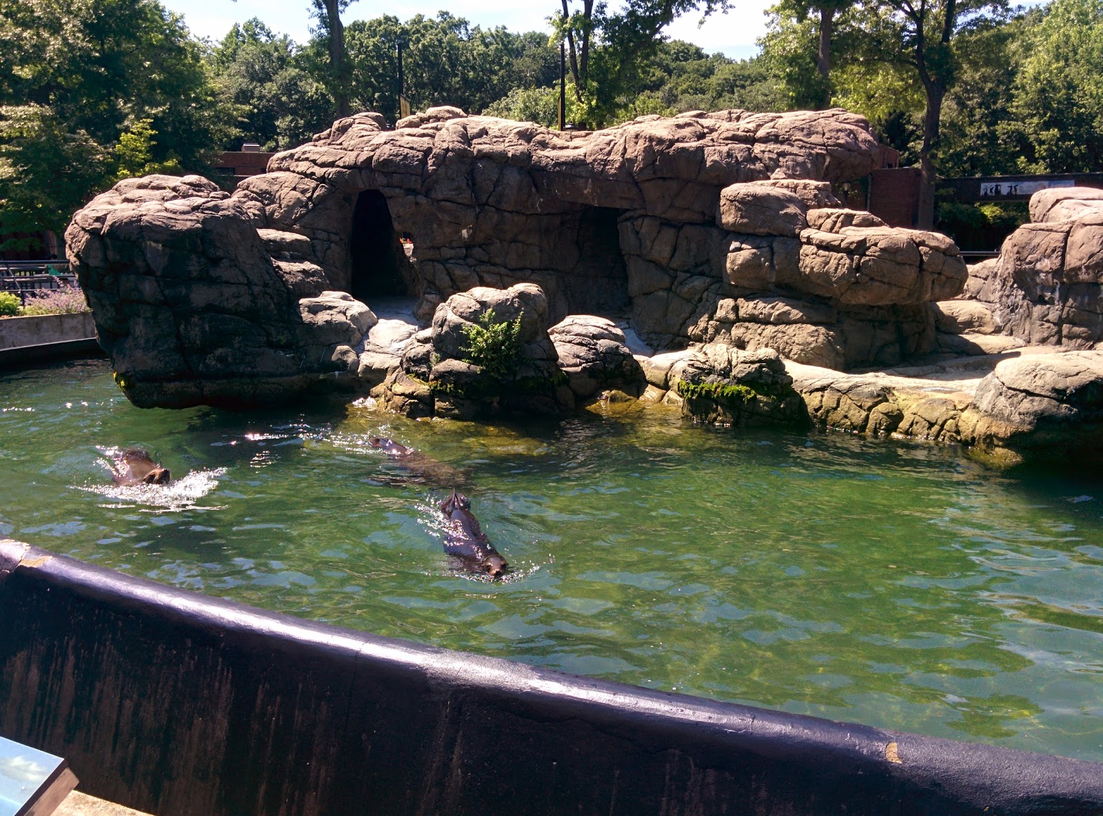 Photo of Prospect Park Zoo in New York City, New York, United States - 2 Picture of Point of interest, Establishment, Zoo