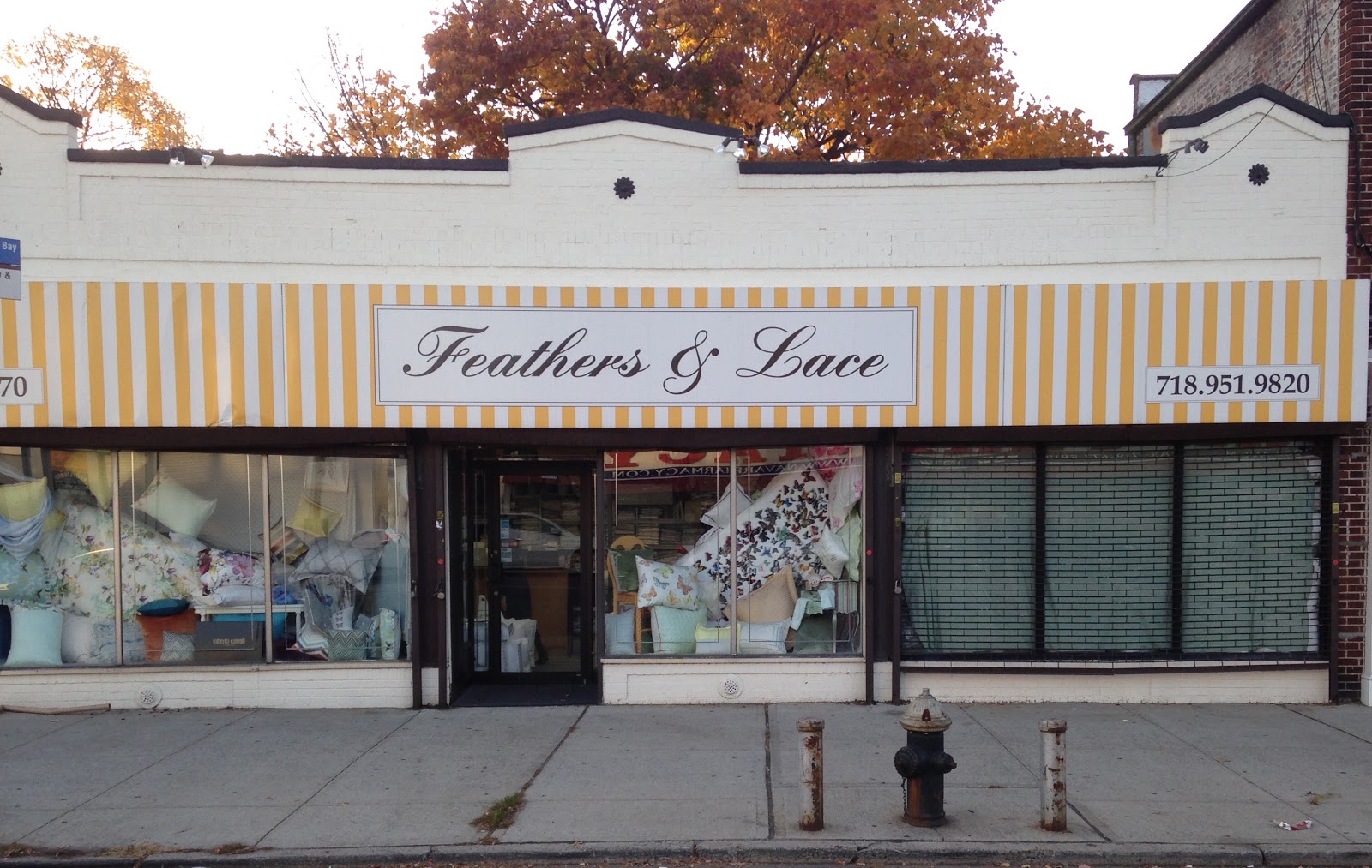 Photo of Feathers & Lace in Kings County City, New York, United States - 3 Picture of Point of interest, Establishment, Store, Home goods store