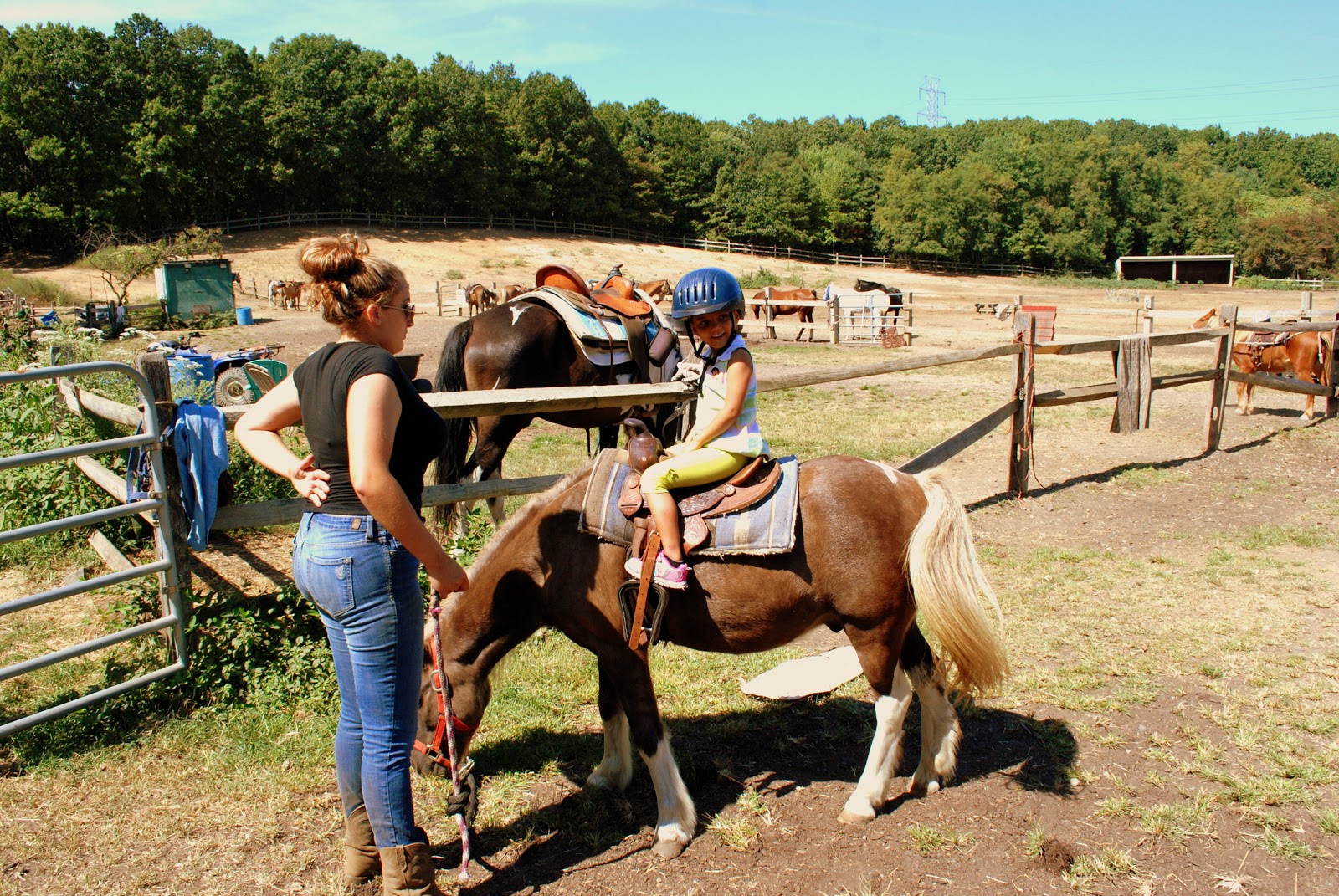 Photo of Legacy Riding Stables in Sayreville City, New Jersey, United States - 3 Picture of Point of interest, Establishment