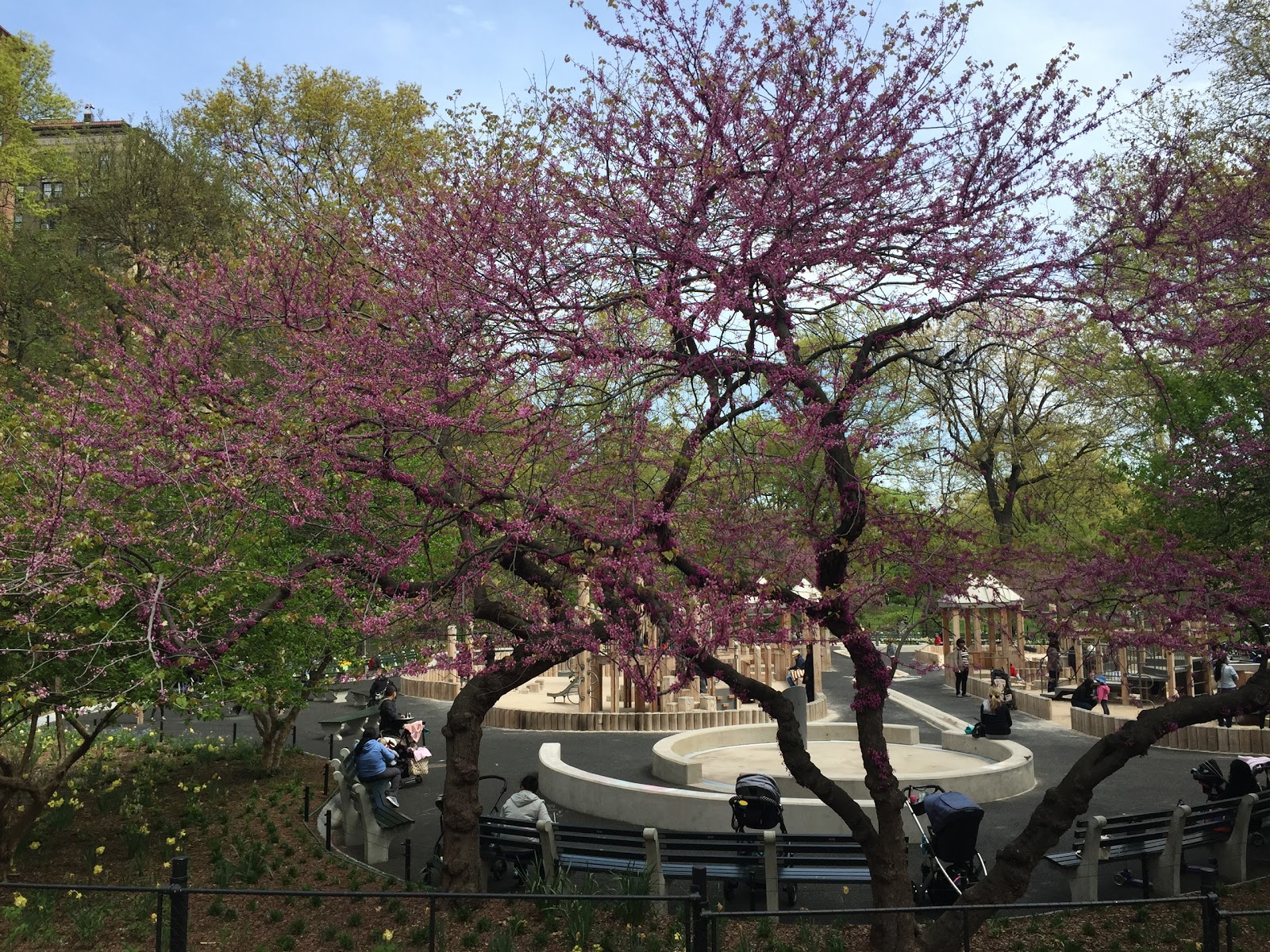 Photo of Wild West Playground in New York City, New York, United States - 1 Picture of Point of interest, Establishment