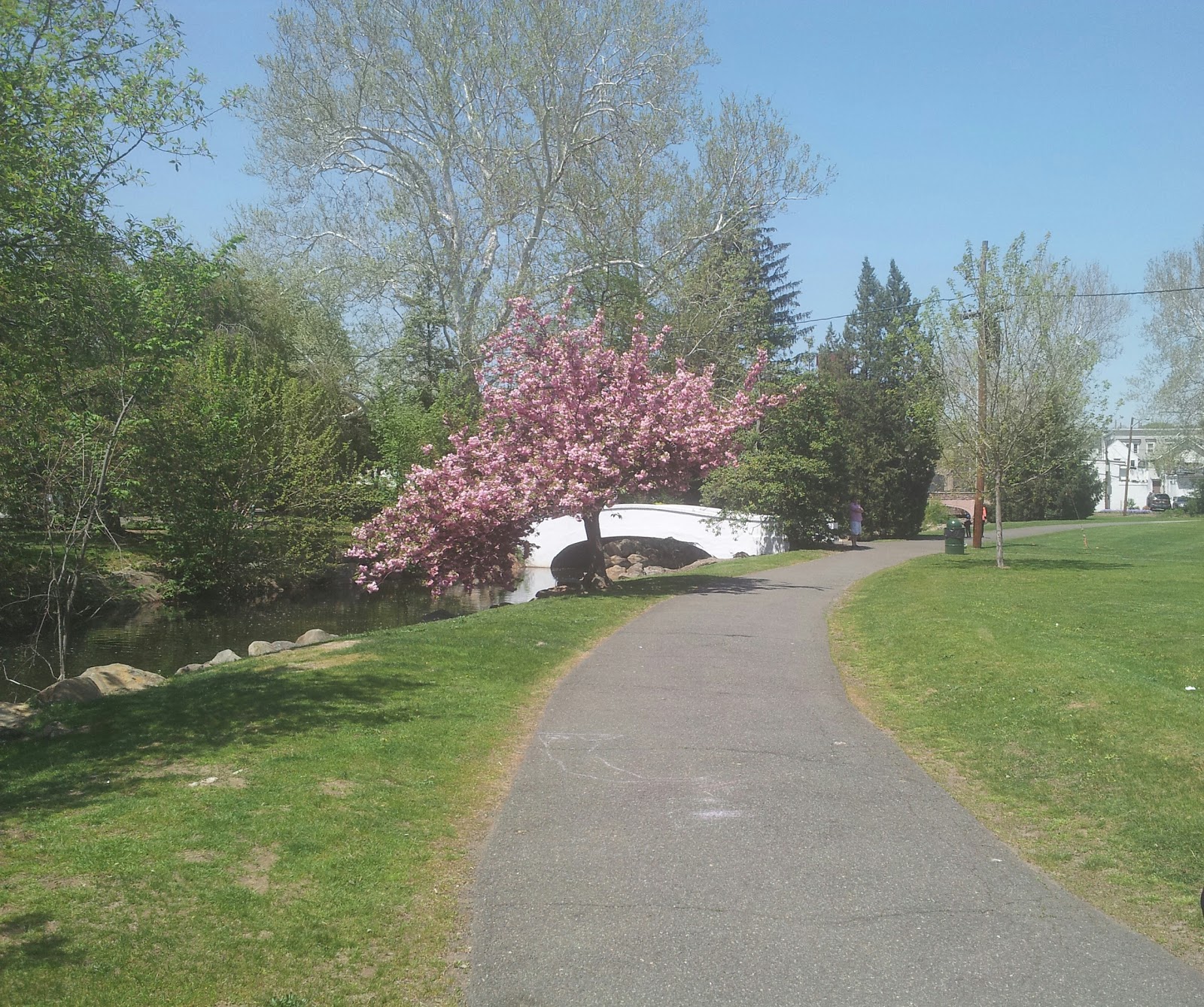 Photo of Taylor Park in Millburn City, New Jersey, United States - 2 Picture of Point of interest, Establishment, Park