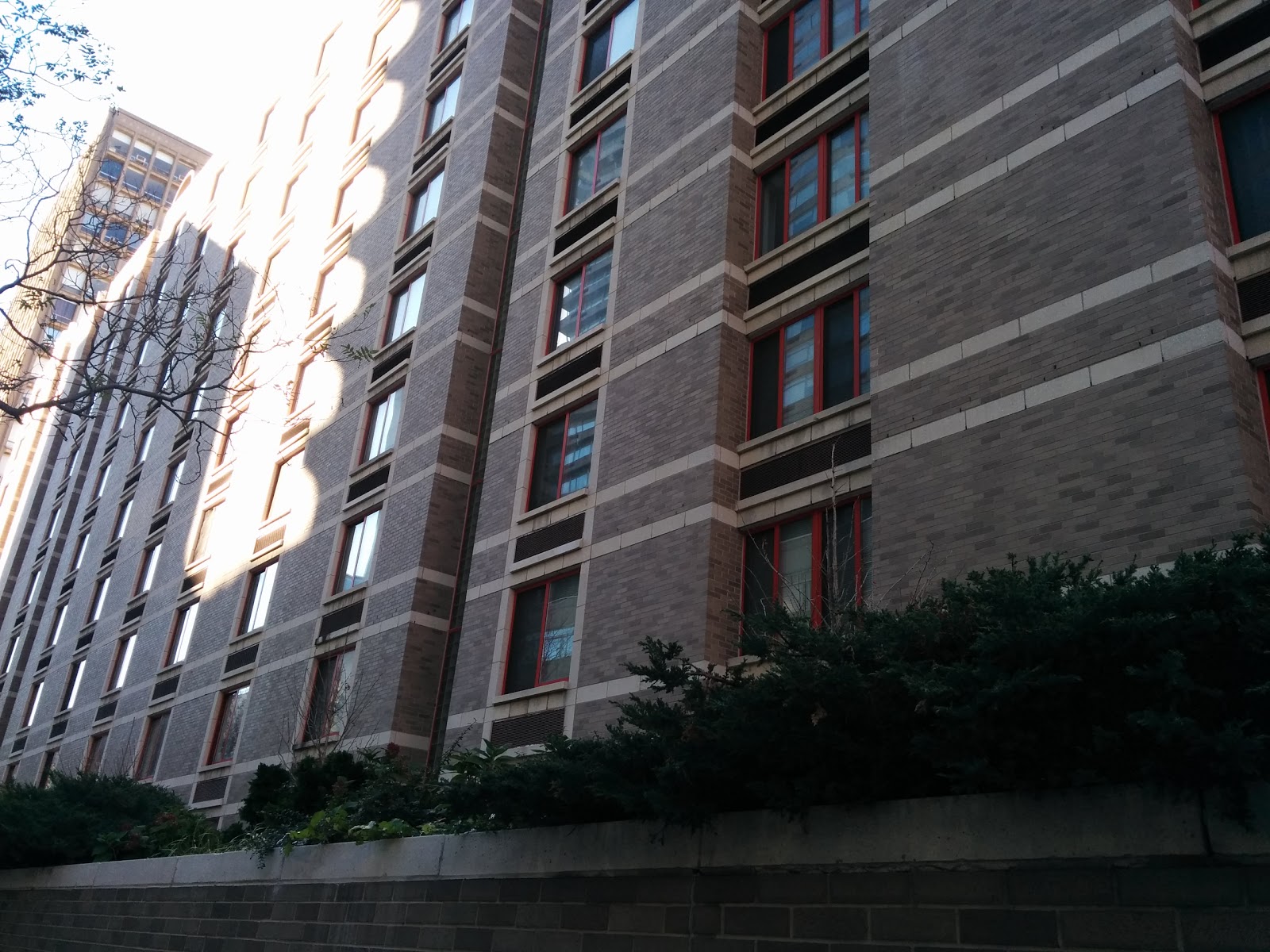 Photo of Greenberg Hall in New York City, New York, United States - 1 Picture of Point of interest, Establishment