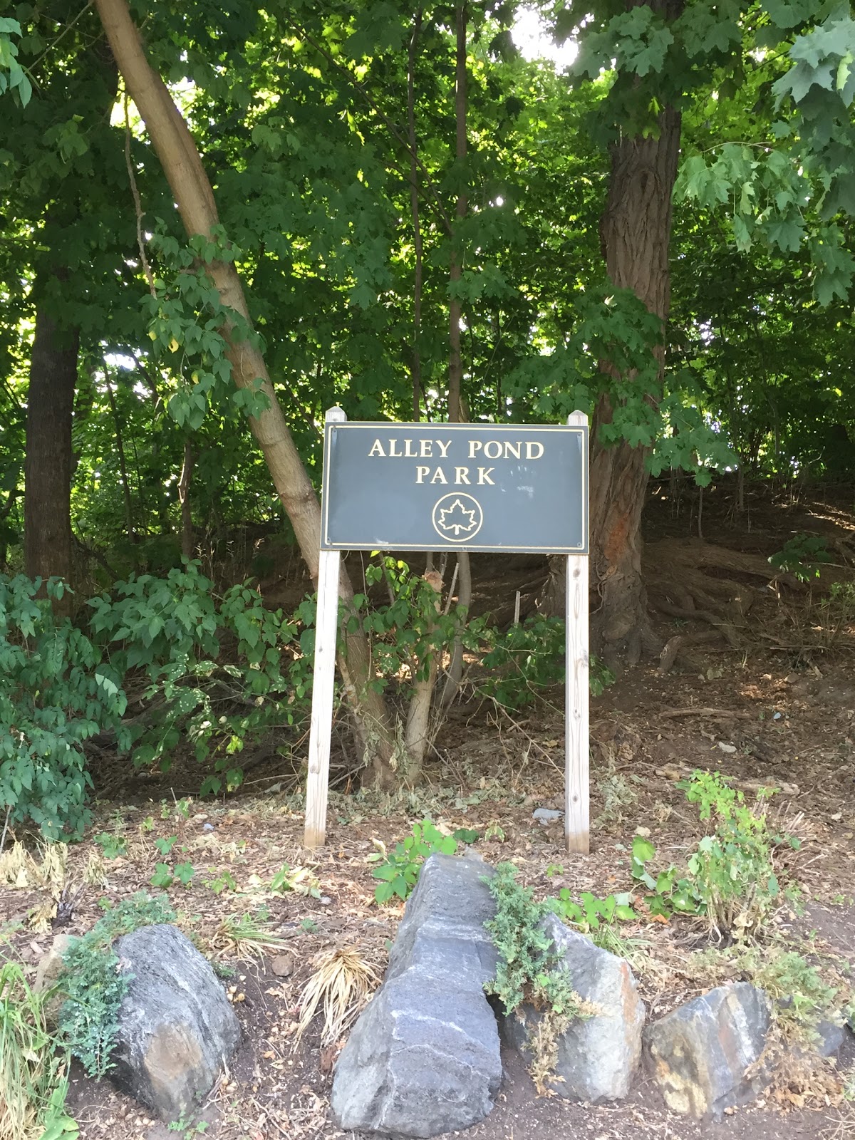 Photo of Alley Athletic Playground in Hollis City, New York, United States - 5 Picture of Point of interest, Establishment, Park