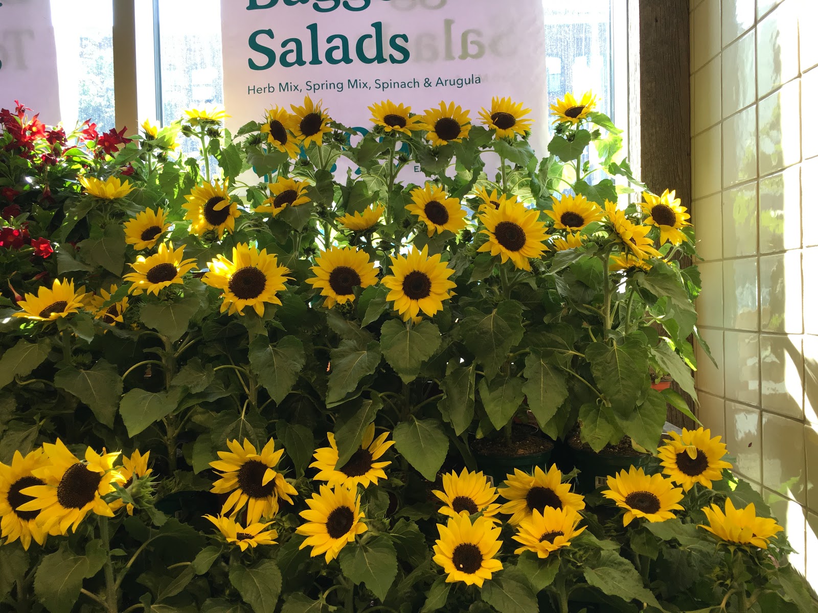 Photo of Whole Foods Market in New York City, New York, United States - 3 Picture of Food, Point of interest, Establishment, Store, Health, Grocery or supermarket, Bakery, Florist