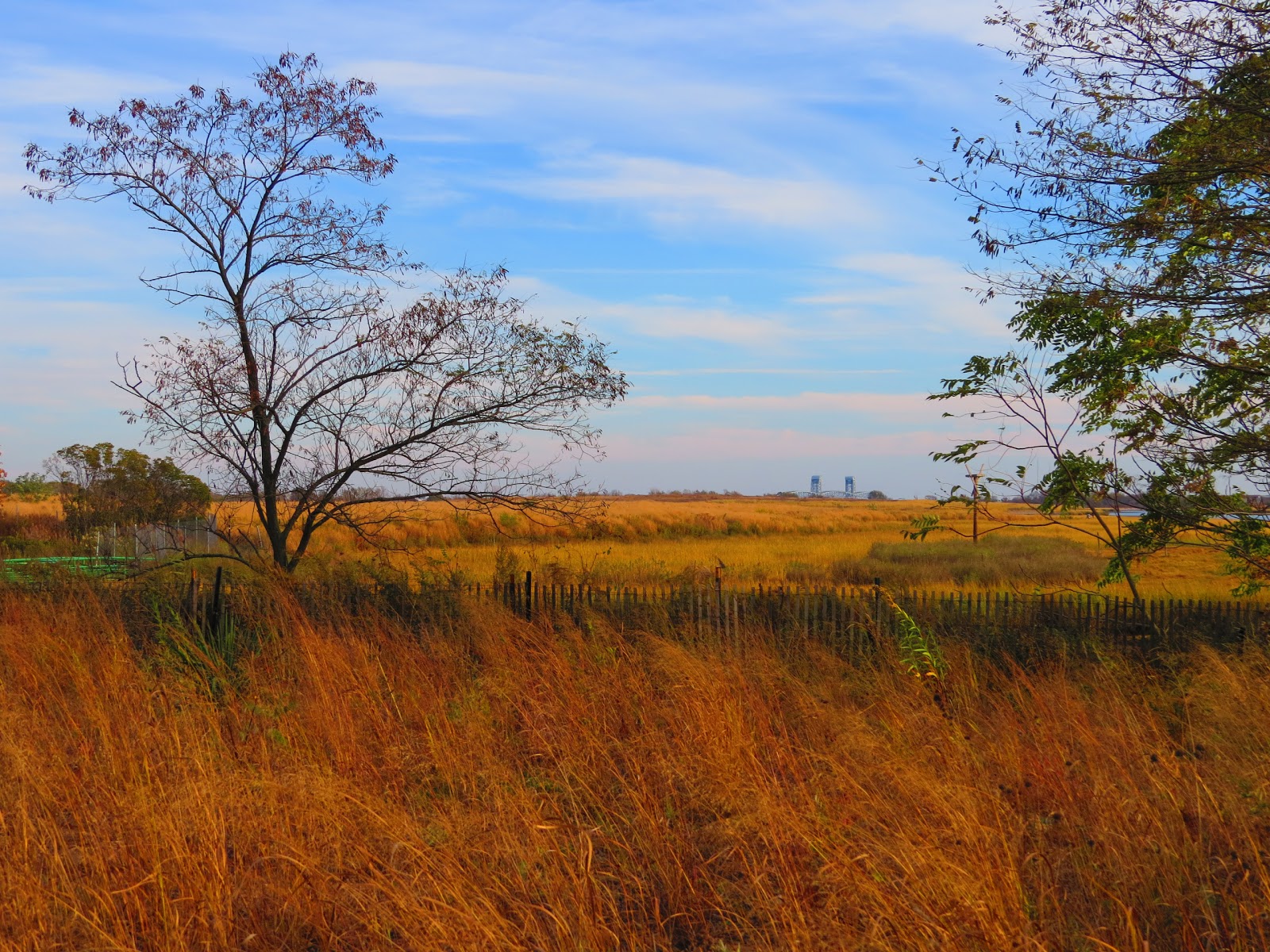 Photo of Salt Marsh Nature Center in Brooklyn City, New York, United States - 6 Picture of Point of interest, Establishment, Park