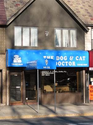 Photo of The Dog & Cat Doctor in Rego Park City, New York, United States - 1 Picture of Point of interest, Establishment, Health, Veterinary care