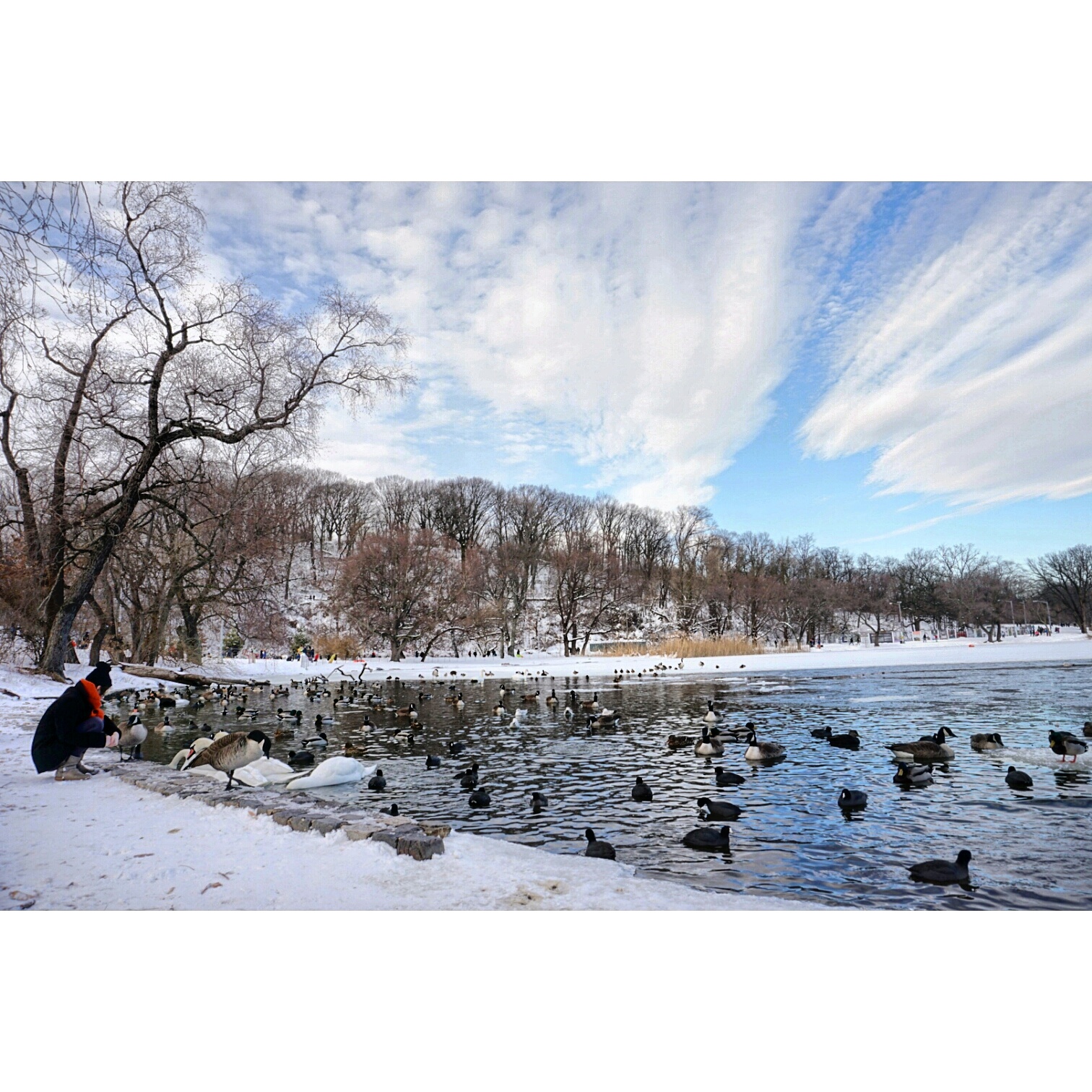 Photo of Bike and Boat Rentals at Lakeside Prospect Park in Brooklyn City, New York, United States - 9 Picture of Point of interest, Establishment, Travel agency