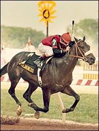 Photo of Cleveland Johnson Racing Stables in Elmont City, New York, United States - 4 Picture of Food, Point of interest, Establishment