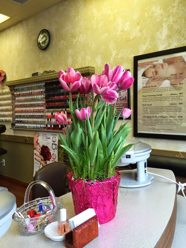 Photo of Village Nails of Glen Cove in Glen Cove City, New York, United States - 2 Picture of Point of interest, Establishment, Beauty salon, Hair care