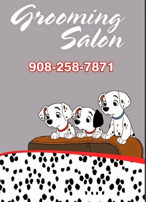 Photo of Yes U R Dog & Cat Grooming Salon in Union City, New Jersey, United States - 2 Picture of Point of interest, Establishment