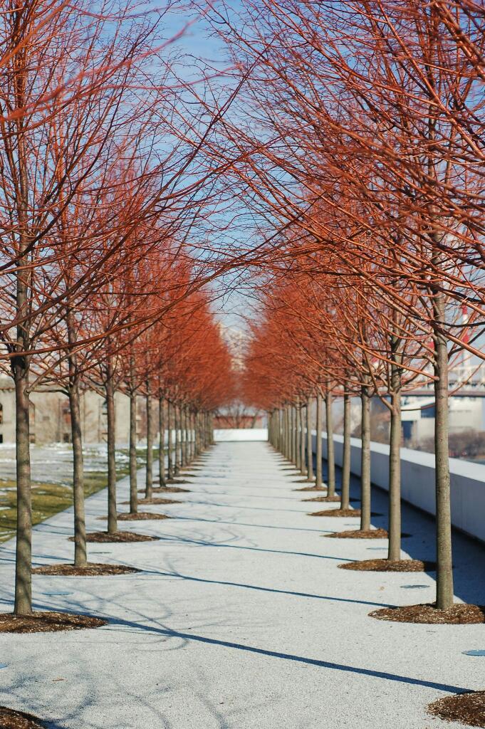 Photo of Franklin D. Roosevelt Four Freedoms Park in Roosevelt Island City, New York, United States - 7 Picture of Point of interest, Establishment, Park