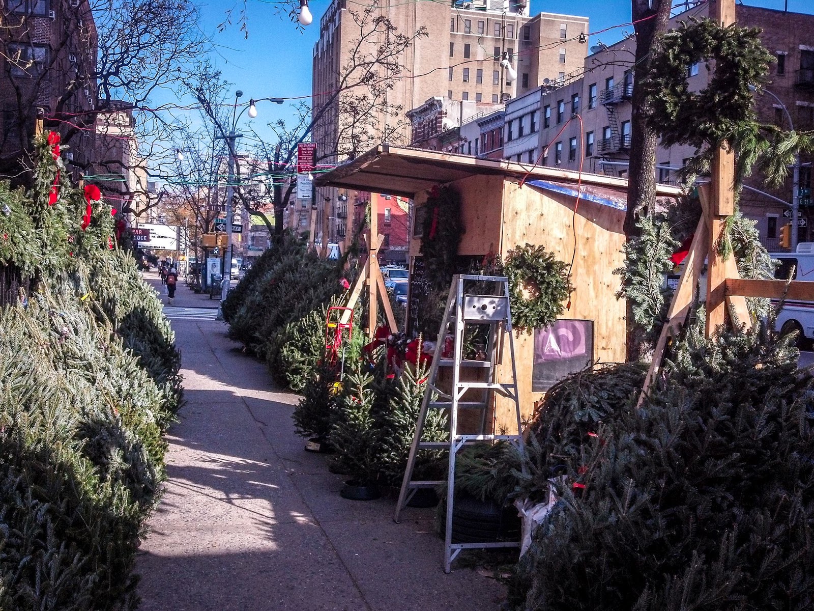 Photo of Christmas Tree Riders in New York City, New York, United States - 1 Picture of Point of interest, Establishment