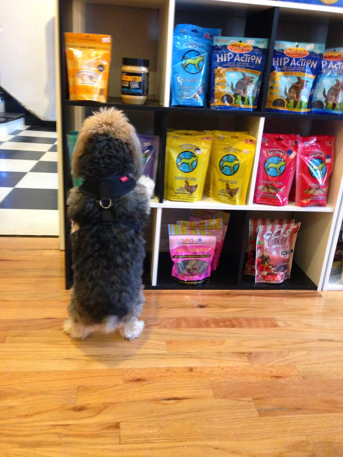 Photo of Locust Valley Pet Food in Locust Valley City, New York, United States - 6 Picture of Point of interest, Establishment, Store