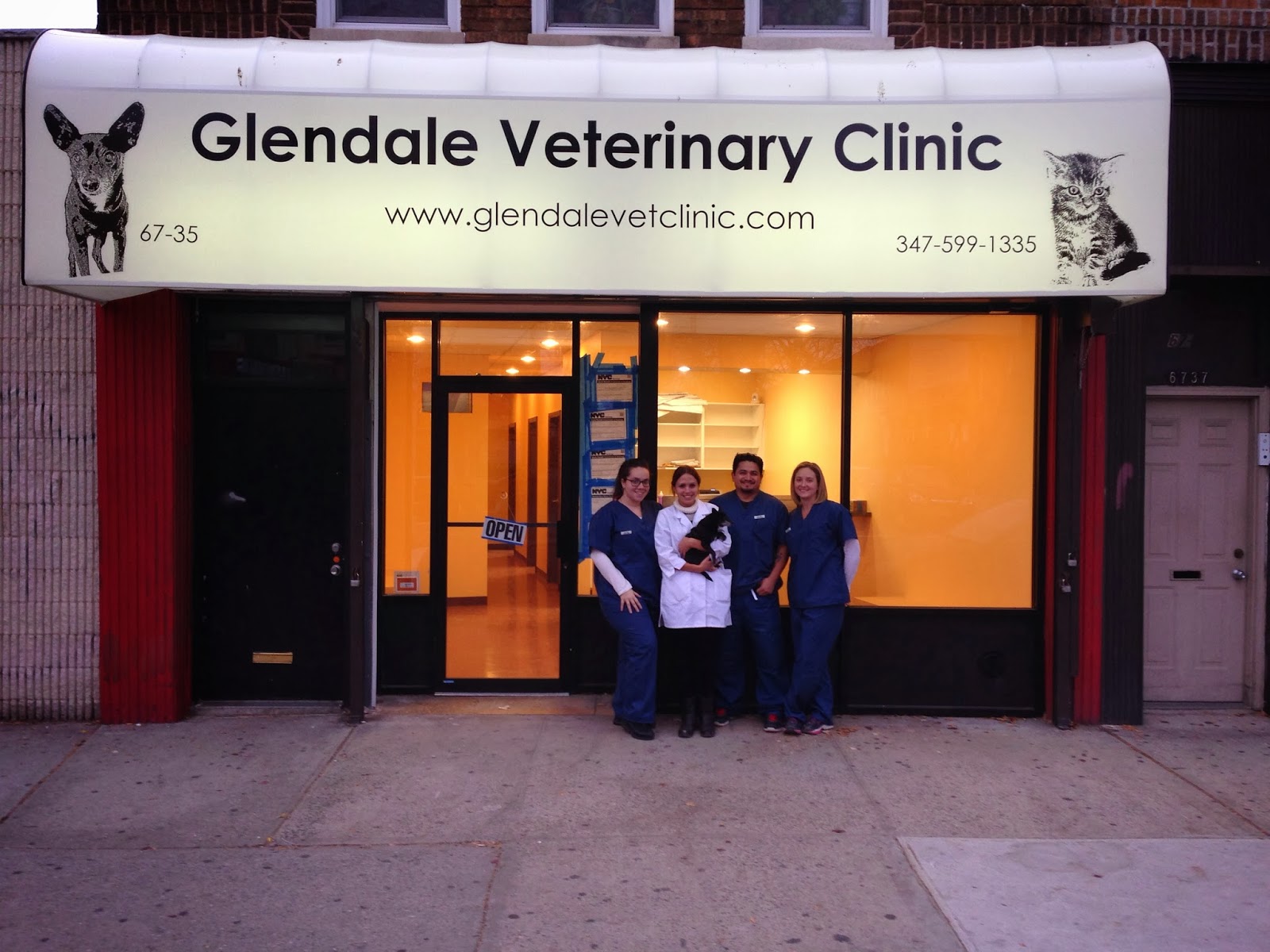 Photo of Glendale Veterinary Clinic in Glendale City, New York, United States - 8 Picture of Point of interest, Establishment, Veterinary care