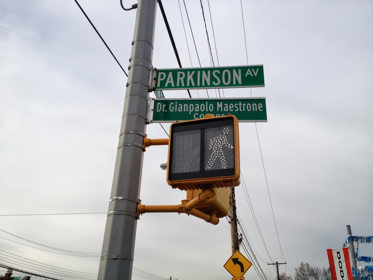 Photo of American Parkinson Disease Association in Staten Island City, New York, United States - 3 Picture of Point of interest, Establishment