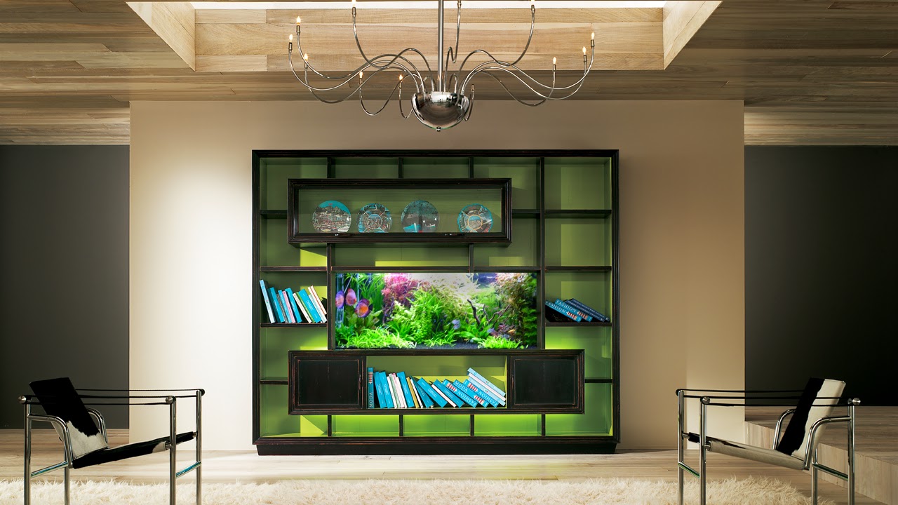 Photo of Okeanos Aquascaping in New York City, New York, United States - 10 Picture of Point of interest, Establishment, Store, General contractor, Pet store, Aquarium