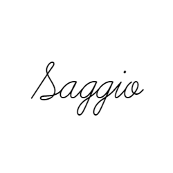 Photo of Saggio Restaurant in New York City, New York, United States - 10 Picture of Restaurant, Food, Point of interest, Establishment, Bar