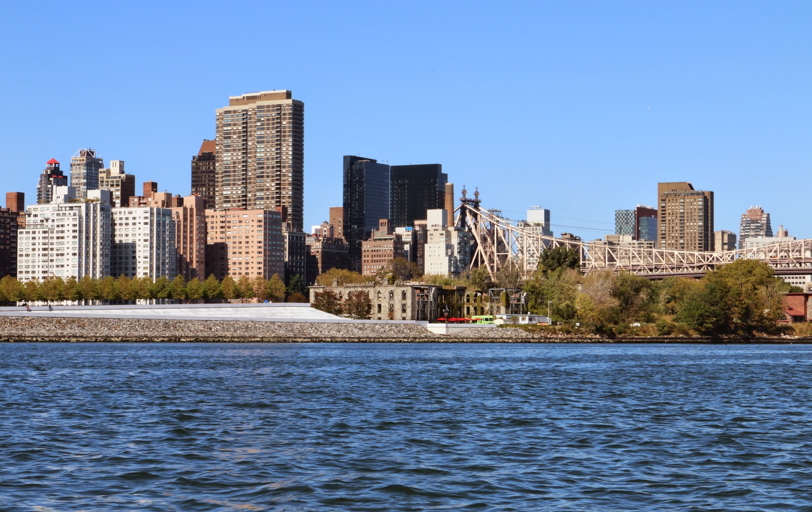 Photo of Franklin D. Roosevelt Four Freedoms Park in Roosevelt Island City, New York, United States - 8 Picture of Point of interest, Establishment, Park