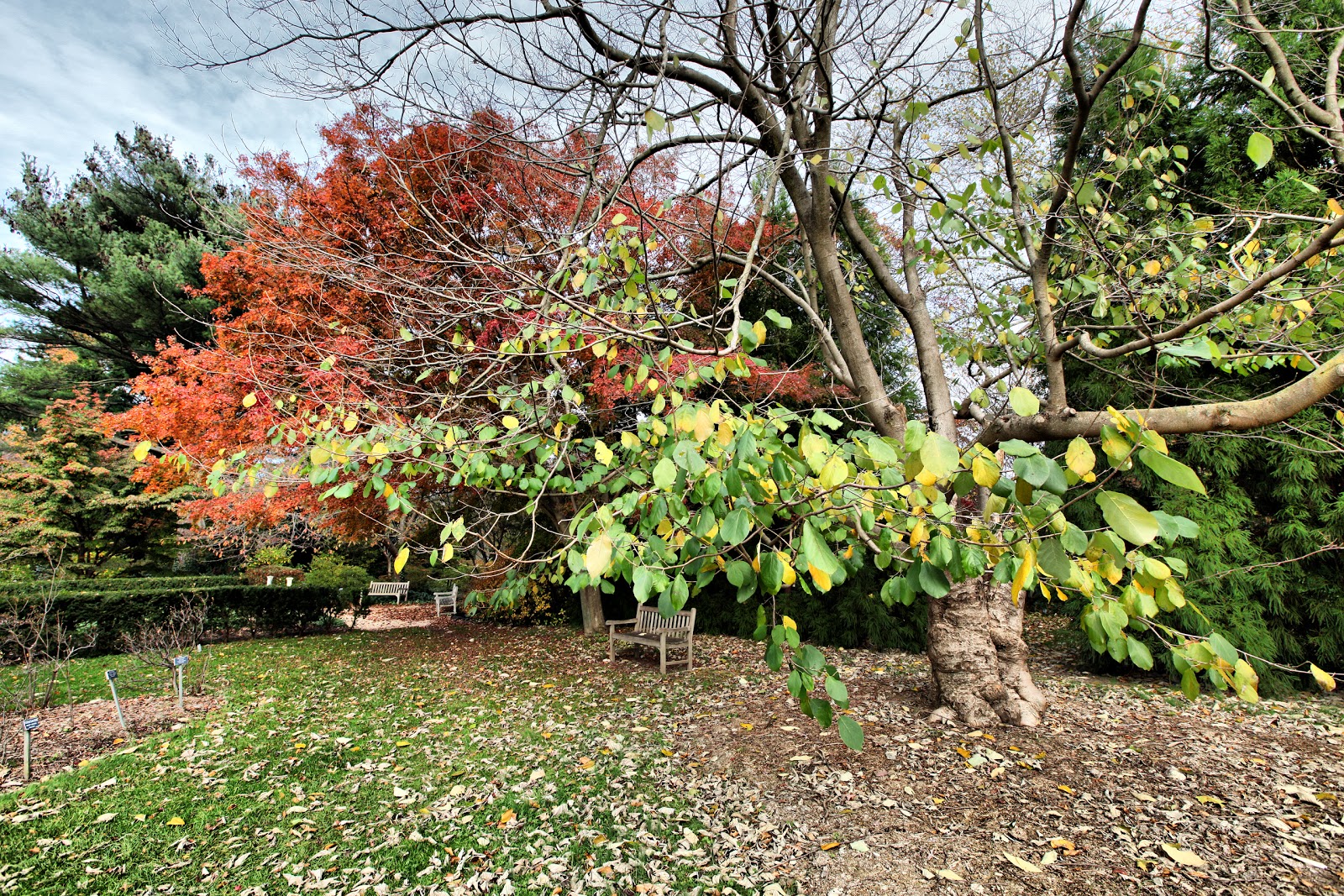 Photo of Planting Fields Arboretum State Historic Park in Oyster Bay City, New York, United States - 6 Picture of Point of interest, Establishment, Park