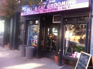 Photo of Happy Tails in Brooklyn City, New York, United States - 1 Picture of Point of interest, Establishment