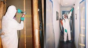 Photo of Advanced Mold Testing in Staten Island City, New York, United States - 9 Picture of Point of interest, Establishment, General contractor