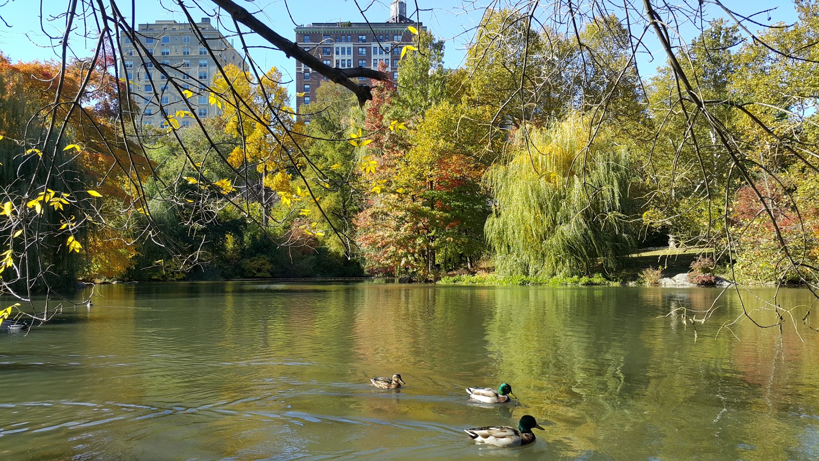 Photo of The Pool in New York City, New York, United States - 7 Picture of Point of interest, Establishment