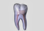 Photo of Brace Dental Services PC in Bronx City, New York, United States - 2 Picture of Point of interest, Establishment, Health, Dentist