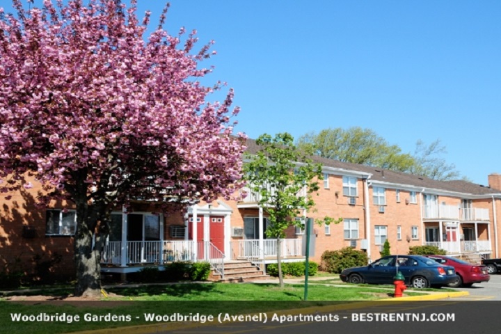 Photo of Woodbridge Gardens in Avenel City, New Jersey, United States - 10 Picture of Point of interest, Establishment, Real estate agency