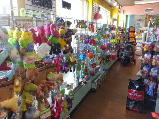 Photo of NY Puppy Club (Edgewater, NJ) in Edgewater City, New Jersey, United States - 6 Picture of Point of interest, Establishment, Store