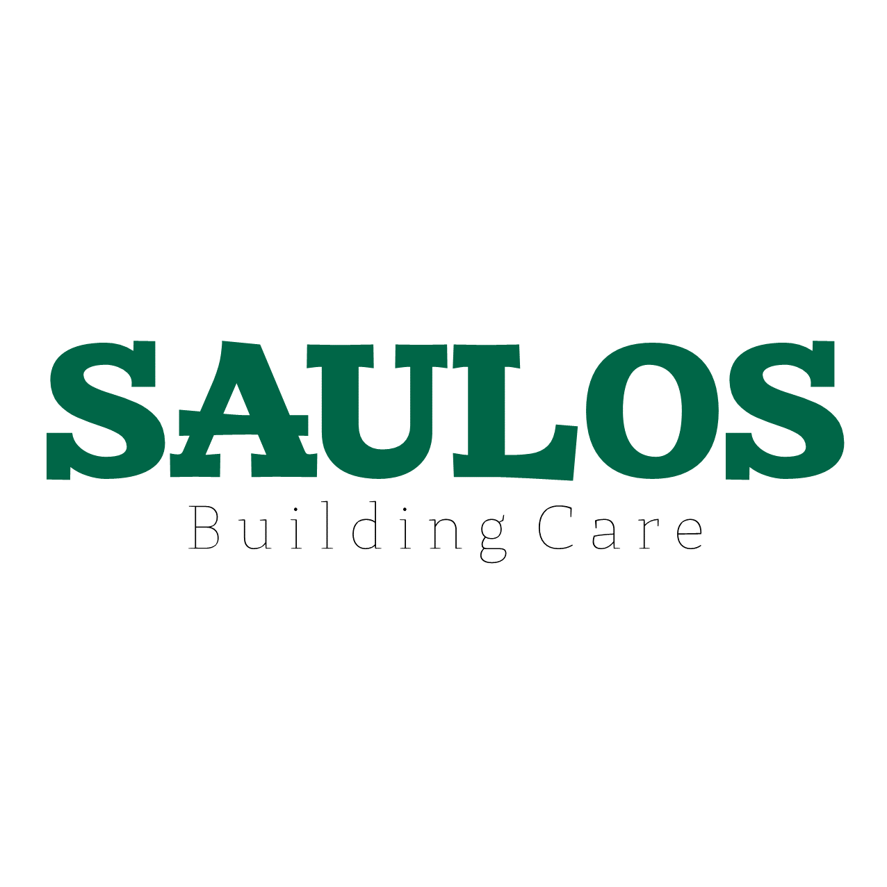 Photo of Saulos Building Care in New Hyde Park City, New York, United States - 2 Picture of Point of interest, Establishment