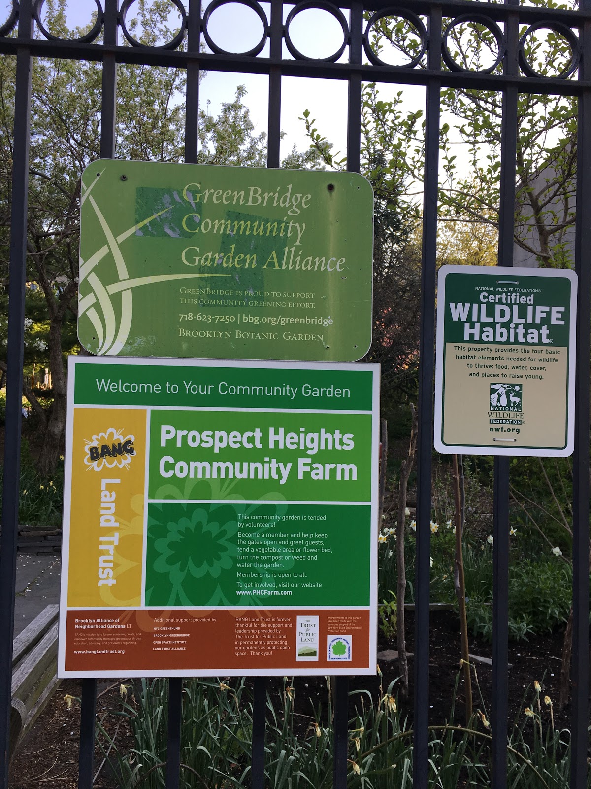 Photo of Prospect Heights Community Farm in Kings County City, New York, United States - 5 Picture of Point of interest, Establishment, Park