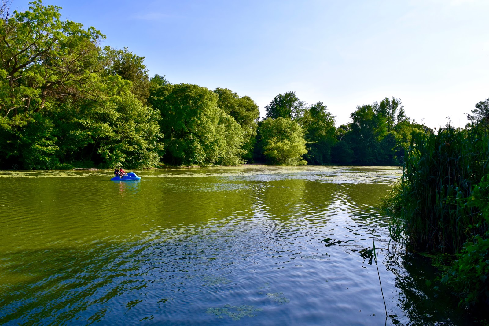 Photo of Chaim Baier Music Island and the Shelby White and Leon Levy Esplanade in Kings County City, New York, United States - 1 Picture of Point of interest, Establishment