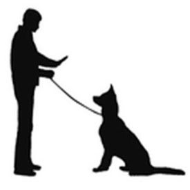 Photo of Training Dogs 101 in Maspeth City, New York, United States - 1 Picture of Point of interest, Establishment