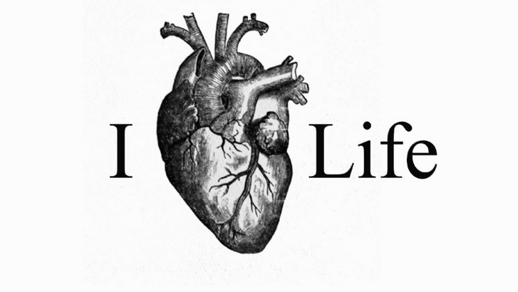 Photo of Life Joules, Inc. in Staten Island City, New York, United States - 3 Picture of Point of interest, Establishment, Health