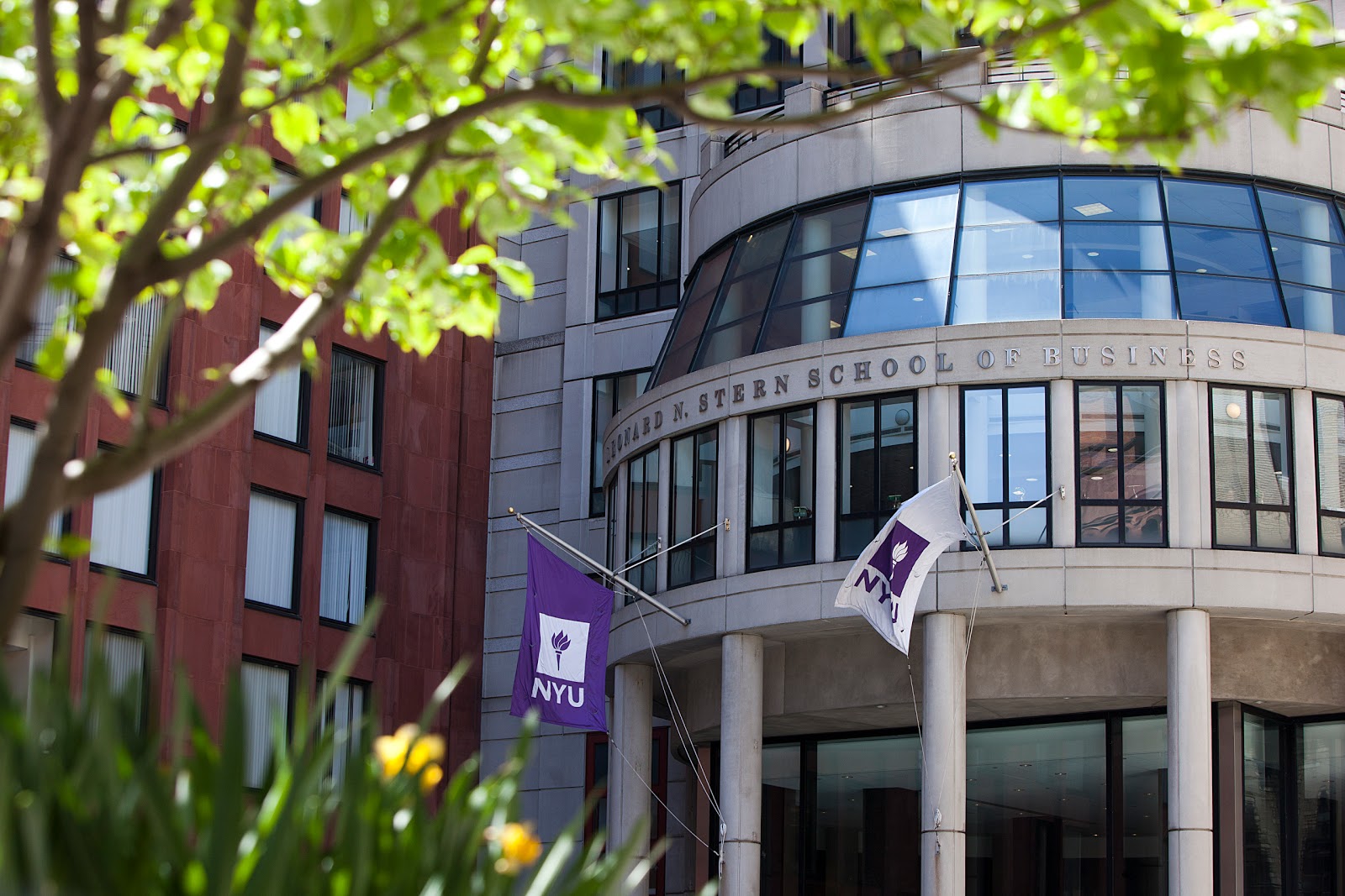 Photo of NYU Stern Executive Education in New York City, New York, United States - 2 Picture of Point of interest, Establishment