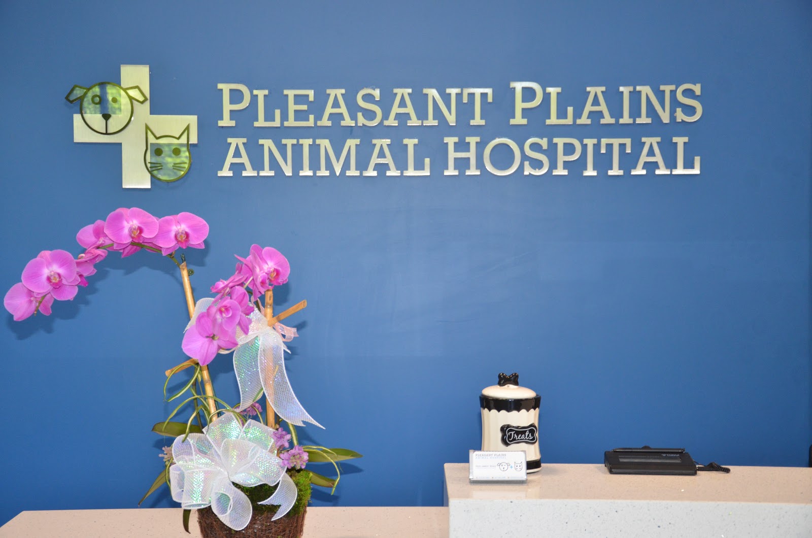 Photo of Pleasant Plains Animal Hospital in Staten Island City, New York, United States - 6 Picture of Point of interest, Establishment, Veterinary care