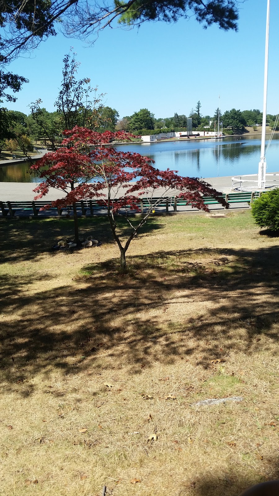 Photo of Harry Chapin Lakeside Theatre in East Meadow City, New York, United States - 9 Picture of Point of interest, Establishment