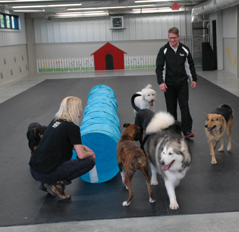 Photo of Training Dogs 101 in Maspeth City, New York, United States - 9 Picture of Point of interest, Establishment