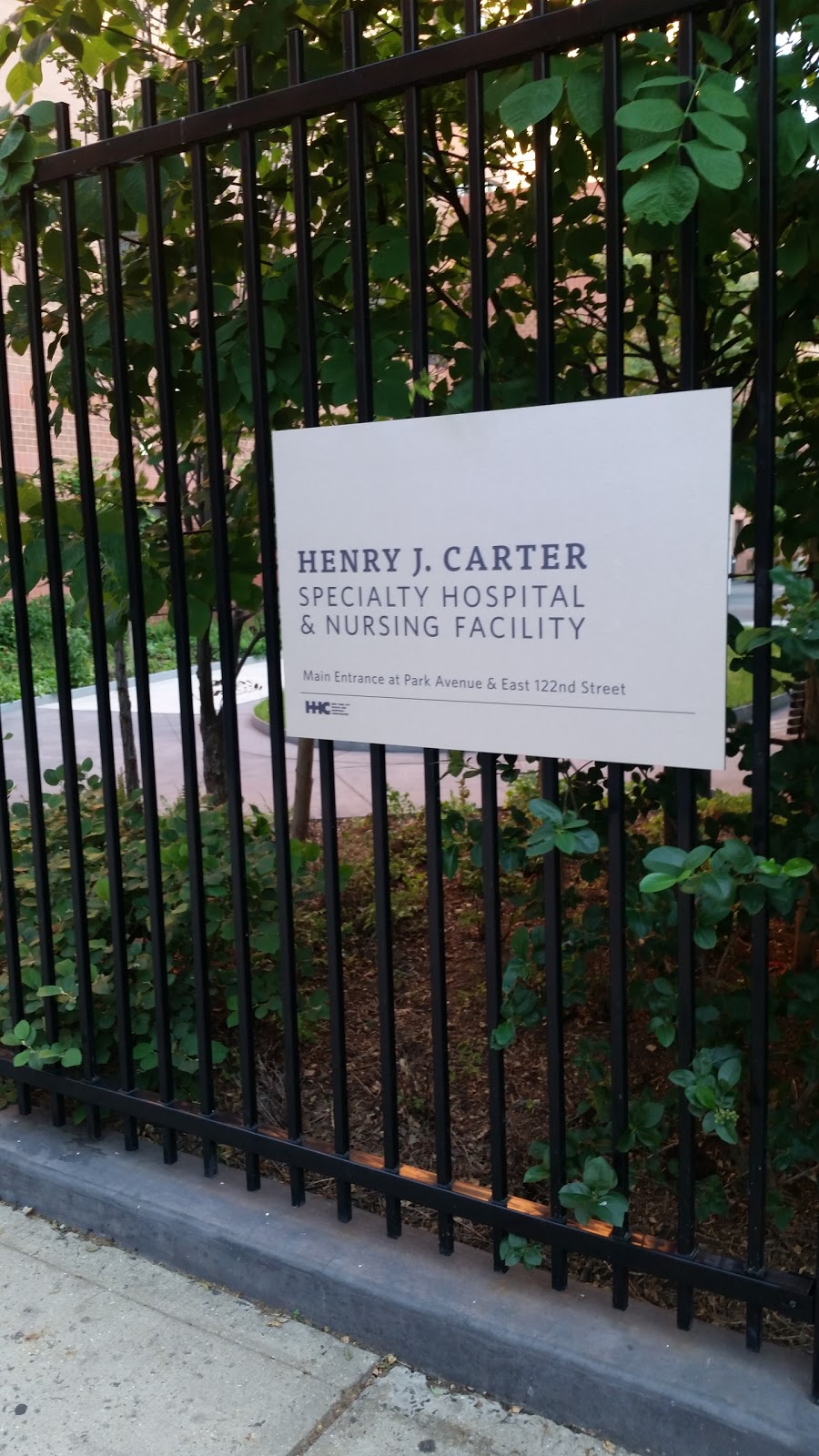 Photo of Henry J. Carter Specialty Hospital & Nursing Facility in New York City, New York, United States - 2 Picture of Point of interest, Establishment, Hospital