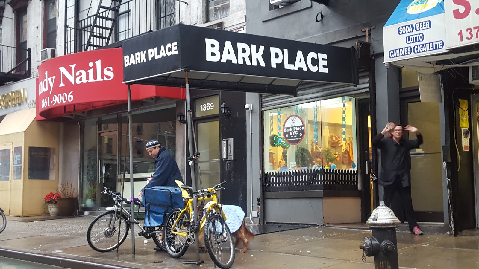 Photo of Bark Place Inc in New York City, New York, United States - 1 Picture of Point of interest, Establishment, Store, Pet store
