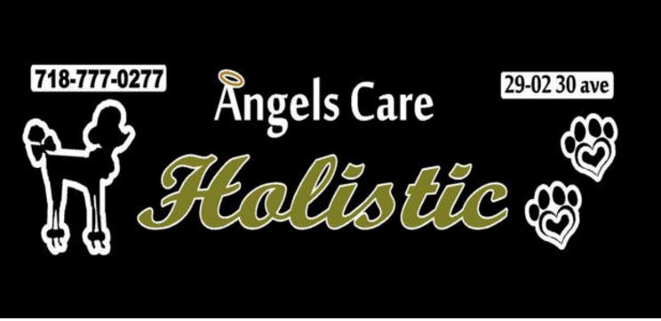 Photo of Angels Care Holistic Pet Spa & Boutique in Queens City, New York, United States - 2 Picture of Point of interest, Establishment