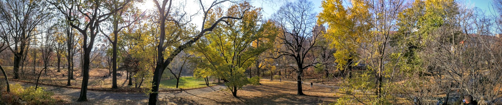 Photo of Theodore Roosevelt Park in New York City, New York, United States - 6 Picture of Point of interest, Establishment, Park