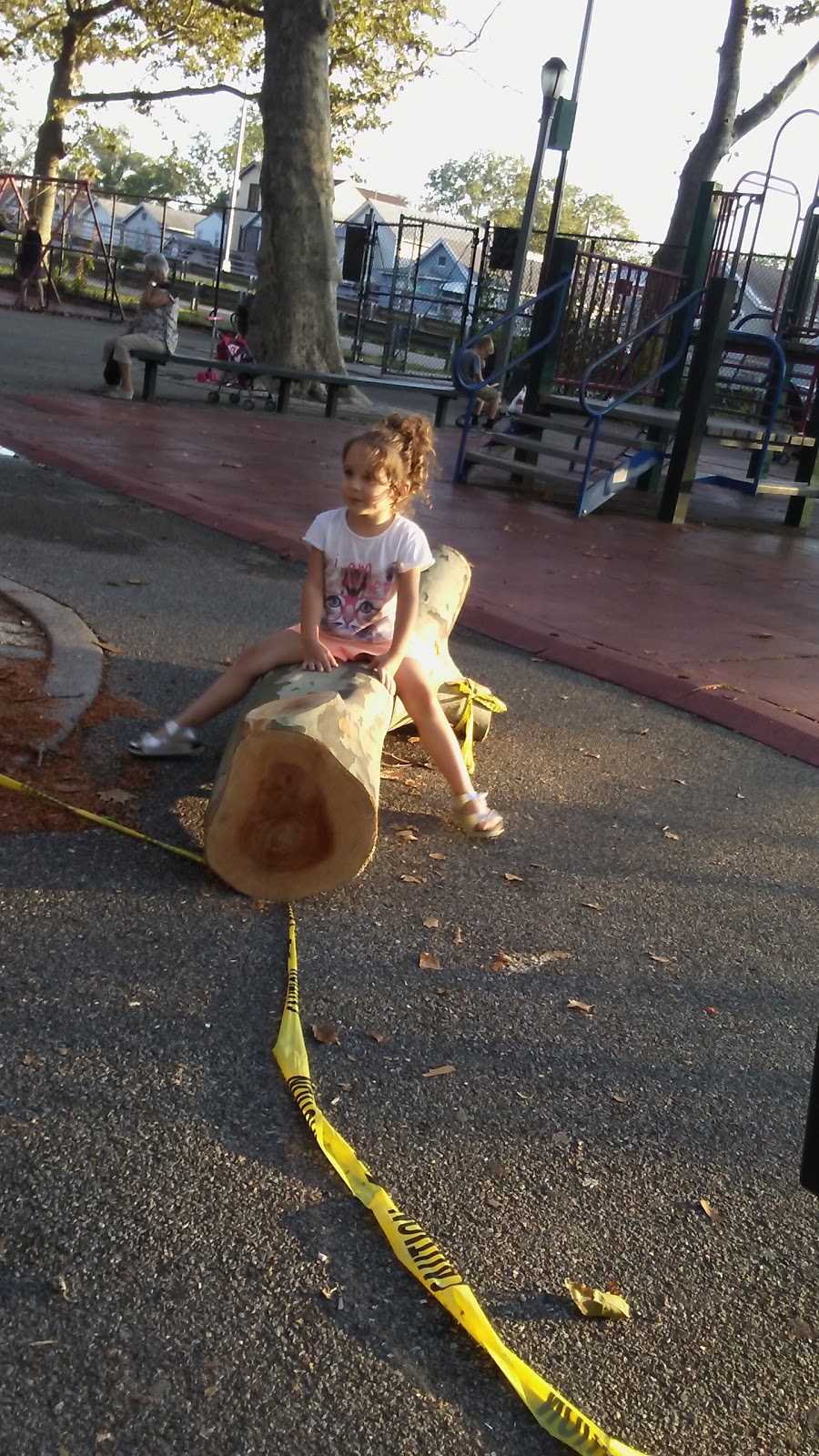 Photo of Homecrest Playground in Brooklyn City, New York, United States - 3 Picture of Point of interest, Establishment, Park