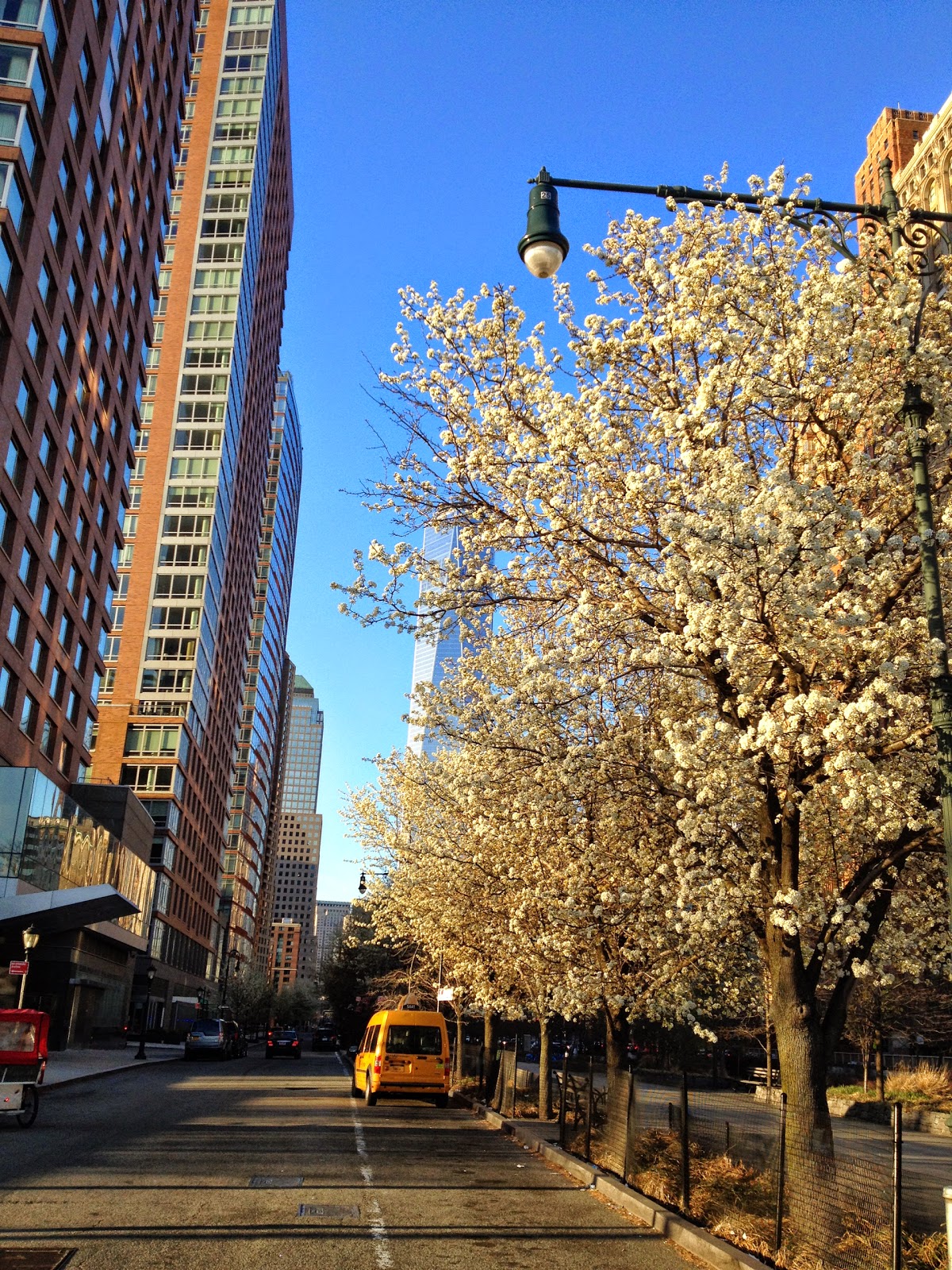 Photo of The Ritz-Carlton Residences, New York, Battery Park in New York City, New York, United States - 2 Picture of Point of interest, Establishment